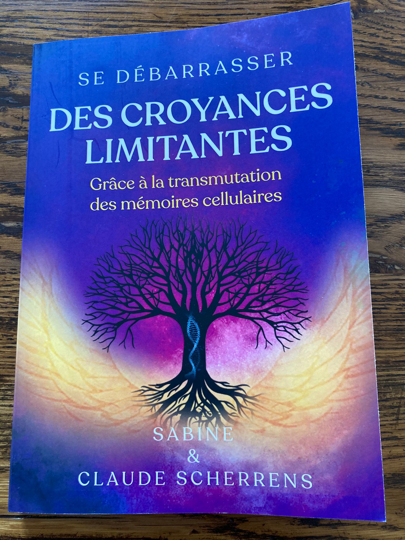 Livre1.jpeg (486 KB)